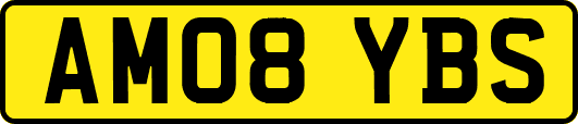 AM08YBS