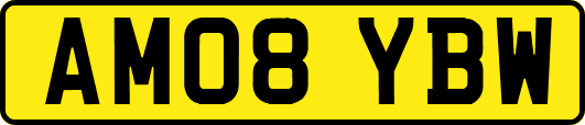 AM08YBW