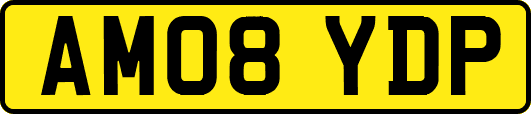 AM08YDP