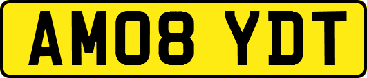 AM08YDT