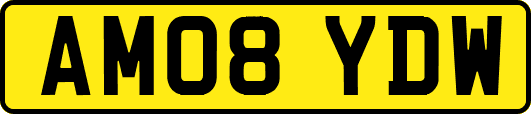 AM08YDW