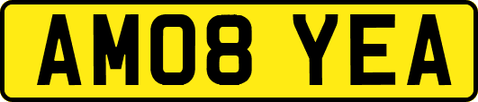 AM08YEA