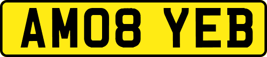 AM08YEB