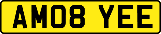 AM08YEE