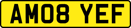AM08YEF