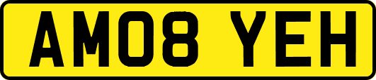 AM08YEH