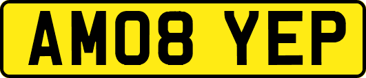 AM08YEP