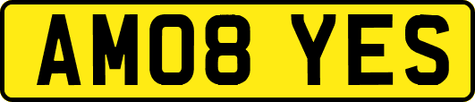 AM08YES