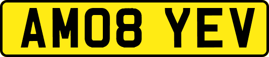AM08YEV