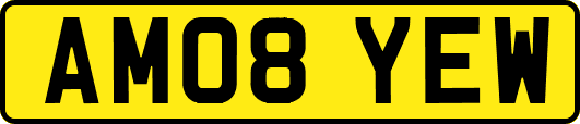 AM08YEW