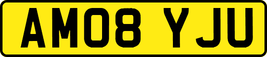 AM08YJU