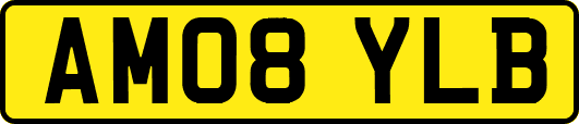 AM08YLB