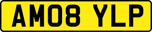 AM08YLP