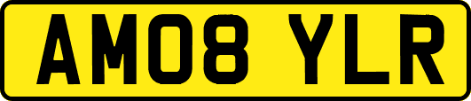 AM08YLR