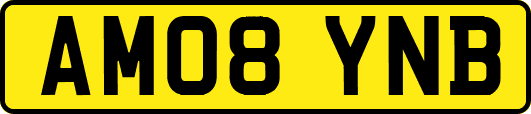AM08YNB