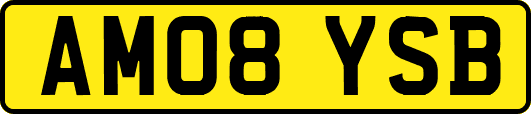 AM08YSB