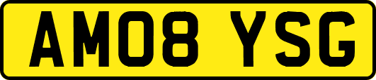 AM08YSG