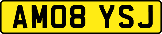 AM08YSJ