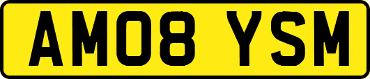 AM08YSM