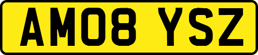 AM08YSZ