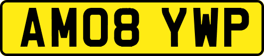 AM08YWP