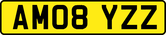 AM08YZZ