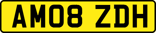 AM08ZDH