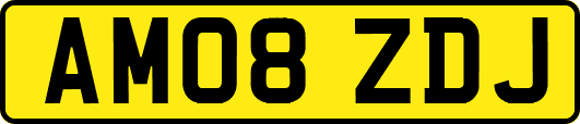 AM08ZDJ