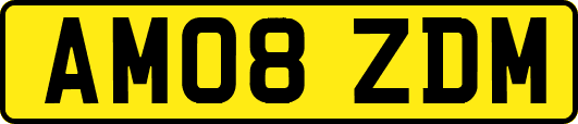 AM08ZDM
