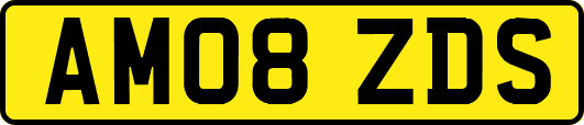 AM08ZDS