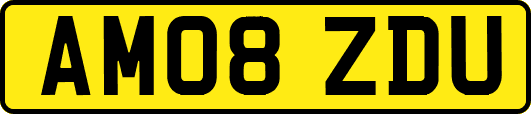 AM08ZDU