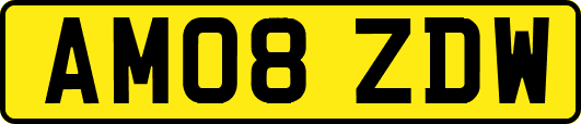 AM08ZDW
