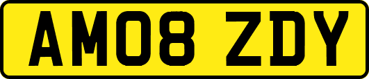 AM08ZDY