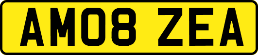 AM08ZEA