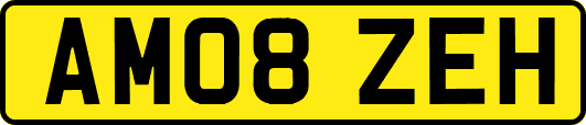 AM08ZEH