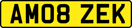 AM08ZEK