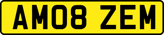 AM08ZEM