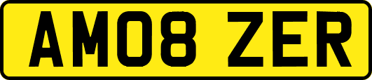 AM08ZER