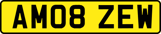 AM08ZEW