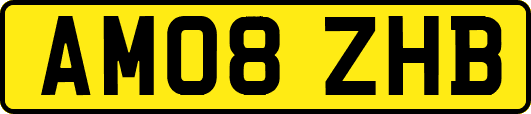 AM08ZHB