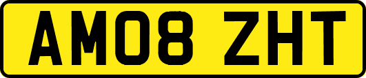 AM08ZHT