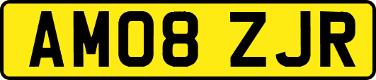 AM08ZJR