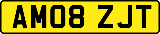 AM08ZJT