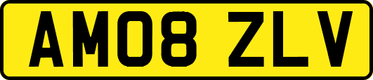 AM08ZLV