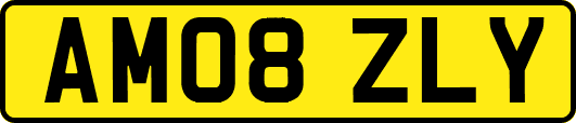 AM08ZLY