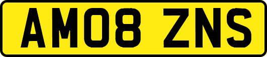 AM08ZNS