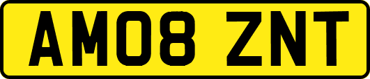 AM08ZNT