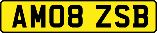 AM08ZSB
