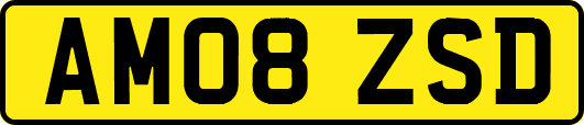 AM08ZSD
