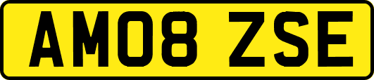 AM08ZSE